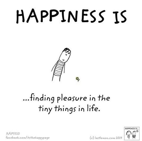 Happiness is ...finding pleasure in the tiny things in life. Small Happiness Quotes, Simple Joys In Life, Find Happiness In Small Things, Happiness In Small Things Quotes, Funny Quotes And Sayings, Cute Happy Quotes, What Is Happiness, Simple Things In Life, Reasons To Be Happy