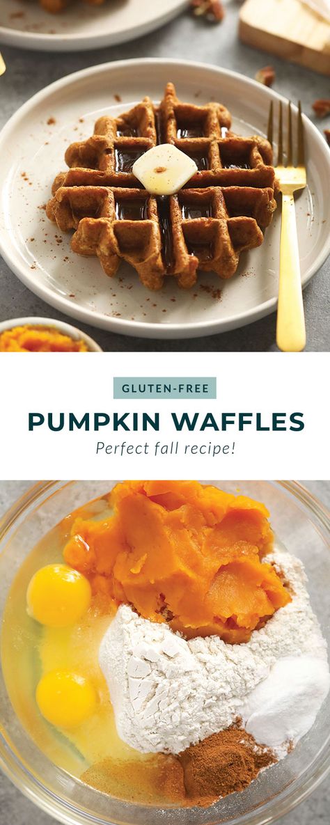 Pumpkin Waffles Healthy, Gluten Free Waffles Recipe, Gluten Free Pumpkin Waffles, Pumpkin Gluten Free, Paleo Pumpkin Waffles, Gf Waffles, Dairy Free Waffles, Gluten Free Pumpkin Pancakes, Pumpkin Waffles Recipe