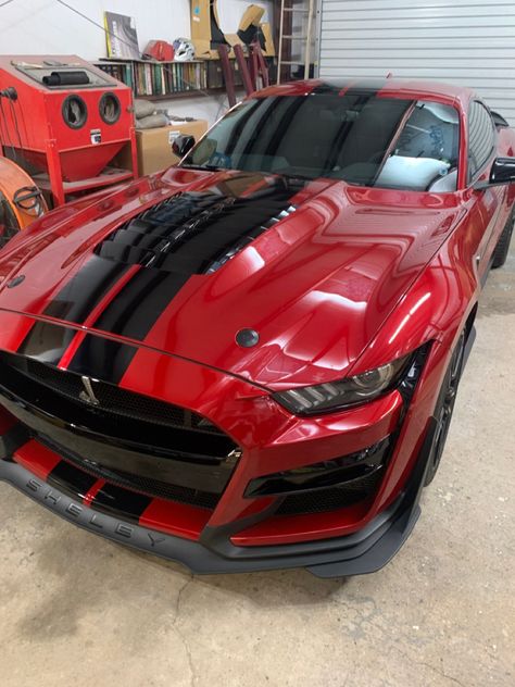 Mustang Cobra Shelby Gt500, Ford Mustang Shelby Gt500 2023, 2024 Shelby Gt500, Cobra Car Shelby Gt500, Shelby Cobra Gt500, Mustang Shelby Cobra, Shelby Cobra Hardtop, Ford Shelby Cobra, Red Mustang