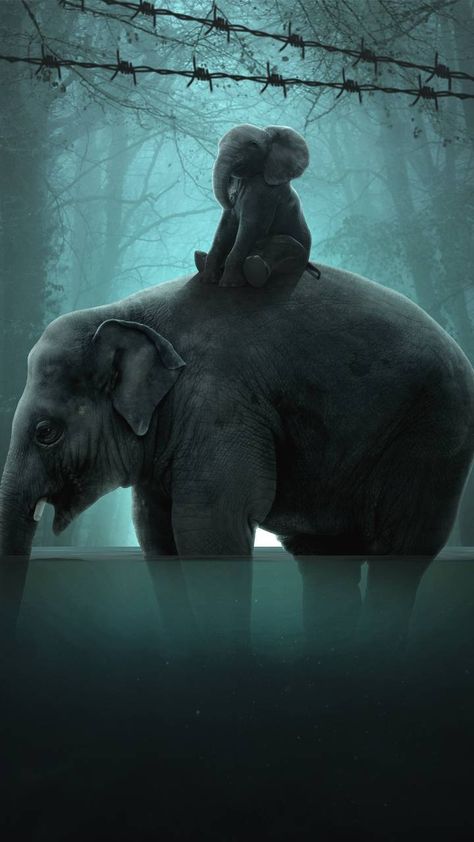 Download ELEPHANT wallpaper by IK CREATIONS - 90 - Free on ZEDGE™ now. Browse millions of popular 4k Wallpapers and Ringtones on Zedge and personalize your phone to suit you. Browse our content now and free your phone Cute Elephant Wallpaper, Elephant Wallpapers, Elephants Wallpaper, Elephant Species, African Forest Elephant, Elephant Photography, Elephant Wallpaper, Elephant Artwork, Happy Elephant