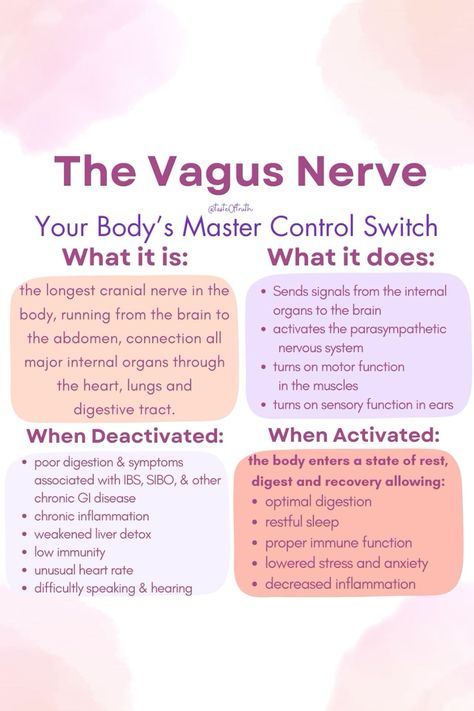 Tune in to hear about the nervous system, learn the importance of forgiveness, compassion and tips for activating the vagus nerve! #HealthTips #FitnessTips #SelfCare #NutritionTips #Wellness #HealthyLiving #FitLife #HealthyLifestyle Vagus Nerve Meditation, Vegas Nerve Stimulator, Vagus Nerve Reset, Healing Nervous System, Vagus Nerve Symptoms, Vagus Nerve Exercise, Stimulate Vagus Nerve, Vagus Nerve Healing, Vegas Nerve