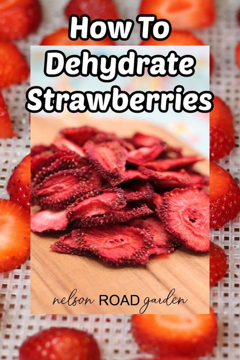 Dehydrating strawberries is such an easy way to preserve them while keeping their delicious taste and nutrients for months to come. Dehydrate Strawberries, Oven Dried Strawberries, Dehydrator Recipes Fruit, Dehydrating Recipes, Dehydrating Food Storage, Dehydrated Fruits, Tartiflette Recipe, Dehydrated Strawberries, Best Freeze Dried Food