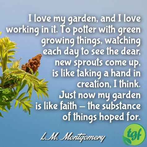 I love my garden, and I love working in it. To potter with green growing things, watching each day to see the dear, new sprouts come up, is like taking a hand in creation, I think. Just now my garden is like faith - the substance of things hoped for.... Gardening Memes, Garden Poems, Modern Garden Landscaping, Quotes To Brighten Your Day, Gardening Quotes, Sacred Garden, Floral Quotes, Garden Works, Healing Garden