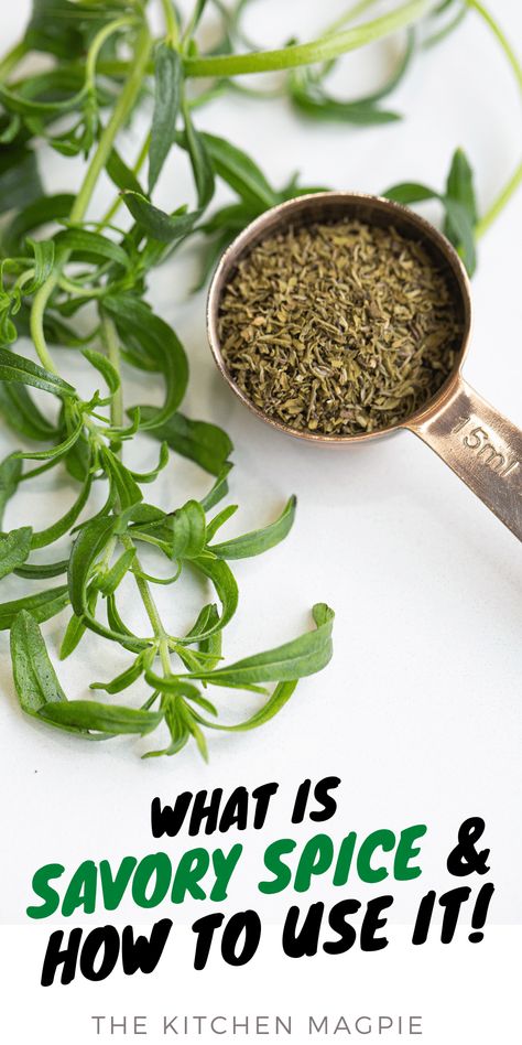 What is Savory Spice? - The Kitchen Magpie Savory Spice, Summer Savory, Rosemary Sage, Herb Jar, Savory Herb, Winter Dishes, Mint Plants, Herb Recipes, Herbs De Provence