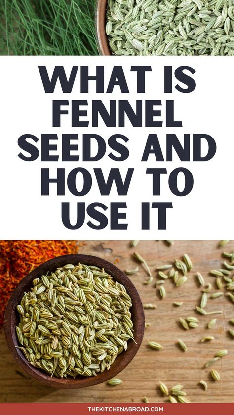 Discover the culinary and health wonders of Fennel seeds, your go-to guide for understanding their benefits, uses, and where to find them. Fennel Seed Recipes, Fennel Seeds Benefits, Seeds Benefits, Herb Seeds, Pork Dishes, Natural Health Remedies, Fennel Seeds, Nutritional Value, Recipes For Beginners