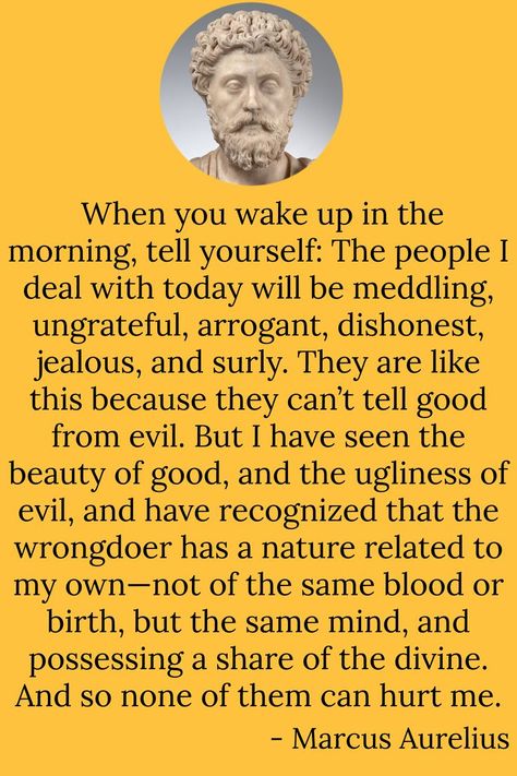 Text reads:  When you wake up in the morning, tell yourself: The people I deal with today will be meddling, ungrateful, arrogant, dishonest, jealous, and surly. They are like this because they can’t tell good from evil. But I have seen the beauty of good, and the ugliness of evil, and have recognized that the wrongdoer has a nature related to my own—not of the same blood or birth, but the same mind, and possessing a share of the divine. And so none of them can hurt me.
- Marcus Aurelius Meditation Marcus Aurelius Quotes, Marcus Aurelius Tattoo Quotes, Stoics Quotes, Meditations Marcus Aurelius, Jk Quotes, Wisdom Quotes Truths, Aurelius Quotes, Marcus Aurelius Meditations, Inspirational Uplifting Quotes