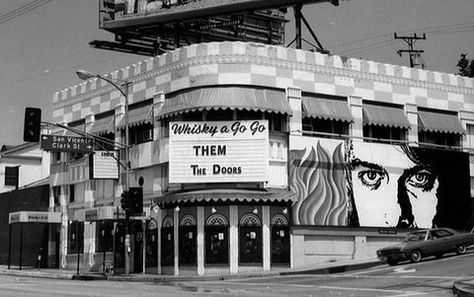 The Doors at the Whisky a Go Go #thedoors #jimmorrison #thedoorswhiskyagogo Whiskey A Go Go, Go Go Dancing, Johnny Rivers, Whisky A Go Go, The Sunset Strip, 55th Anniversary, Sunset Strip, Vintage Los Angeles, Janis Joplin