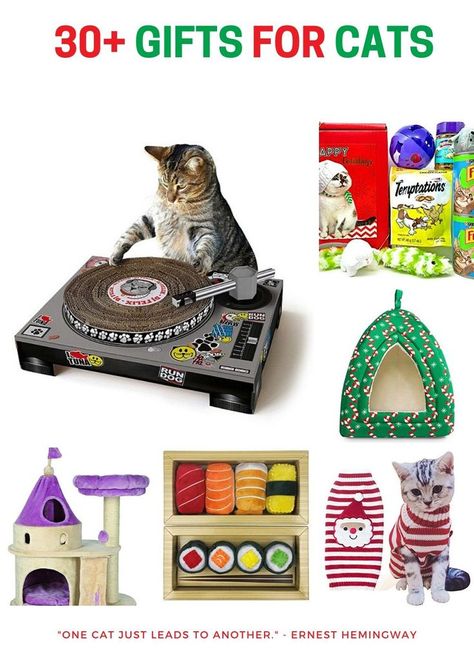 Adorable, cute and cool gift ideas for a cat's birthday, Christmas, Caturday or any day! #giftsforpets Christmas Presents For Cats, Gifts For Cats, Cat Fountain, Cool Gift Ideas, Cat Christmas Gift, Cat Merchandise, Birthday Printables, Cat Birthday, Pet Gift