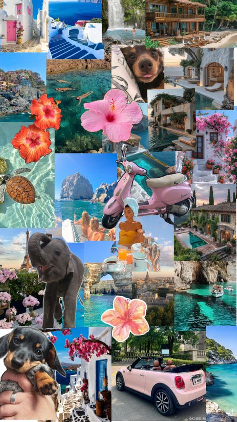 Beach Collage, Intro To Art, Collage Des Photos, Happy Images, Image Collage, Preppy Stuff, Color Collage, Collage Ideas, Board Inspiration