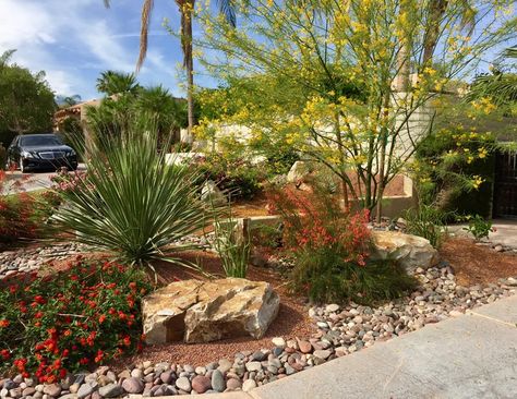 Desert Yard, Desert Landscape Front Yard, Desert Landscape Design, Xeriscape Plants, Xeriscape Front Yard, Xeriscape Landscaping, Arizona Backyard, California Winter, Landscaping Backyard