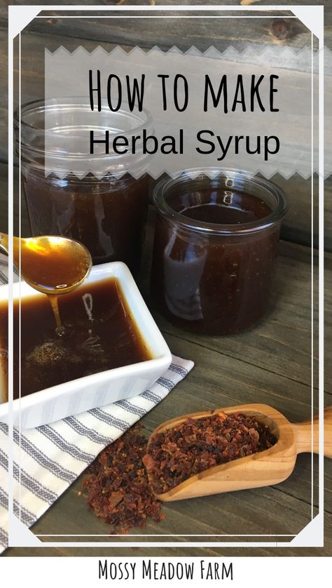 Herbal Syrup Recipe, Herbal Syrups, Making Syrup, Herb Healing, Ginger Benefits, Plant Medicine, Healthy Herbs, Herbal Tinctures, Soda Stream