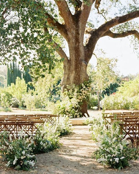 A wedding ceremony beneath a tree is always beautiful. Whether you're looking for small but impactful decorations or statement-making ideas that will take your tree backdrop to the next level, you'll find plenty of beautiful outdoor wedding inspiration here. Oak Tree Wedding Ceremony, Tree Wedding Ceremony, Oak Tree Wedding, Wedding Ceremony Ideas, Beautiful Outdoor Wedding, Garden Venue, Outdoor Wedding Inspiration, Grass Wedding, Floral Arrangements Wedding