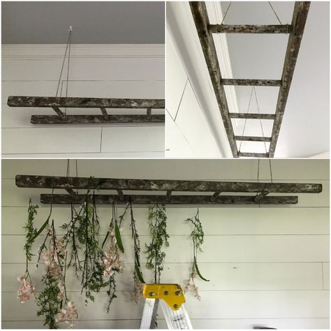 Hanging Ladder From Ceiling, Ladder Plant Hanger, Ladder With Plants, Wood Ladder Decor, Hang Plants From Ceiling, Flower Chandeliers, Plant Hanger Ideas, Farmhouse Style Entryway, Ladder Planter