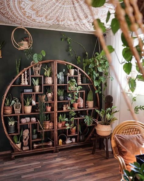 Window Plant Shelf, Indoor Plant Display, Plant Display Ideas, Indoor Plant Wall, Window Plants, Plant Shop, Decoration Plante, Plant Decor Indoor, House Plants Decor