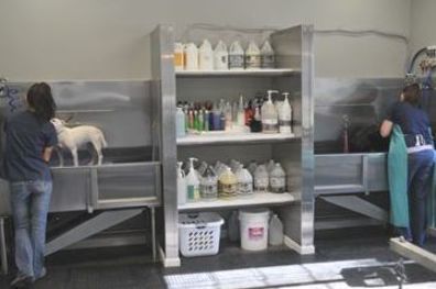 Dog Boarding Facility, Dog Grooming Tubs, Pet Grooming Business, Boarding Facility, Grooming Ideas, Pet Grooming Salon, Dog Grooming Shop, Grooming Business, Dog Spa