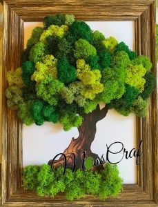 Yarn Trees, Moss Decor, Christmas Shadow Boxes, Moss Wall Art, Diy Wall Art Decor, Paper Flower Crafts, Flower Store, Moss Garden, Moss Art