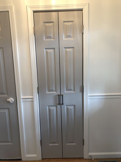 Small French Doors Closet, Closet Door Ideas French Doors, Small Bifold Closet Doors, Small Closet Door Ideas Hallways, Pivot Closet Doors Interior, Narrow French Doors Closet, French Doors Bathroom Small, Bifold Door Into French Door, Linen Closet Doors Bathroom