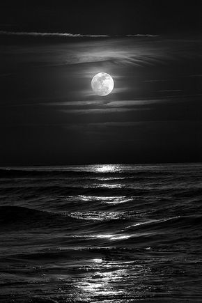 Night Ocean, Sejarah Kuno, Moonlight Photography, Dark Art Photography, Black And White Photo Wall, Night Sky Photography, Black And White Picture Wall, Night Sky Wallpaper, Tapeta Galaxie