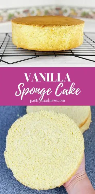 Vanilla Sponge Cake Recipe Sponge Layer Cake, Individual Trifle, Recipes Using Sour Cream, Vanilla Sponge Cake Recipe, Pumpkin Shaped Cake, Cheese Burrito, Cake Summer, Cake Recept, Sponge Recipe