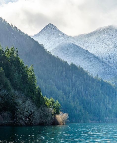 cascadiaexplored - Today's location: Lake Crescent, Washington  Photographer: @outofthewoods • Lake Crescent Washington, Washington Lakes, Lake Crescent, Crescent Lake, Forks Washington, Ancient Forest, Traveling The World, America Travel, Forks