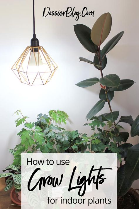 Best Indoor Plant Lights, How To Use Grow Lights, Indoor Plants With Grow Lights, Lamps For Plants, Indoor Plant Grow Lights, Best Grow Lights Indoor Gardening, Led Plant Lights Indoor, Led Lights For Plants, Grow Light For Indoor Plants