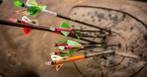 Hunting Bow, Hunting Diy, Deer Hunting Tips, Quail Hunting, Archery Equipment, Bowhunting, Hunting Tips, Best Bow, Archery Hunting