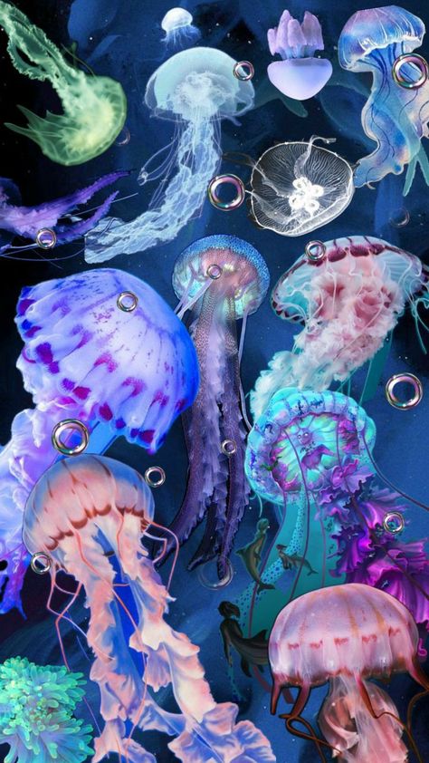 Tapeta Z Hello Kitty, Jellyfish Art, Beautiful Sea Creatures, Iphone Wallpaper Themes, Images Esthétiques, Marine Animals, Ocean Creatures, Cute Wallpaper Backgrounds, Pics Art