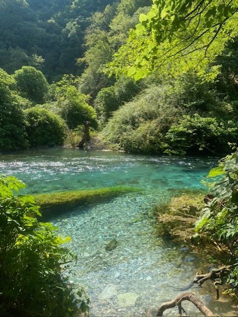 Dive into the serenity of nature's embrace with this captivating image of a crystal blue river winding through lush greenery. Lose yourself in the tranquil beauty of flowing waters and verdant landscapes. 🌿💧#NaturePhotography #River #ForestScenes River Pics, Aesthetic River, River Aesthetic, Branch Frame, Streams Of Water, Water Aesthetic, Water Nature, Crystal River, Small Lake