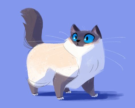 Daily Cat Drawings : Photo Daily Cat Drawings, Cats Sketch, Sketch Character, Character Design Cartoon, Birman Cat, Cat Drawings, Cat Sketch, Drawing Cats, Drawing Faces