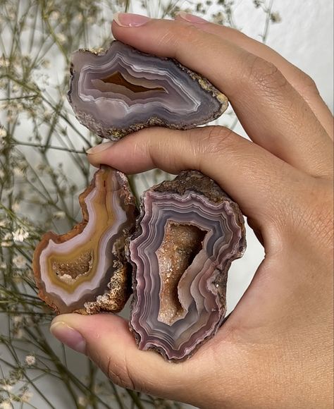 Agate Minerals Aesthetic, Laguna Agate, Yukon Canada, Agate Slice, Banded Agate, In The Meantime, Agate Crystal, Purple Crystals, Crystal Collection