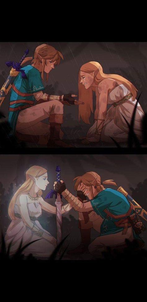 Botw Zelda, Legend Of Zelda Memes, Zelda Funny, Zelda Botw, Hyrule Warriors, Link Zelda, 1000 Years, Zelda Art, Ocarina Of Time