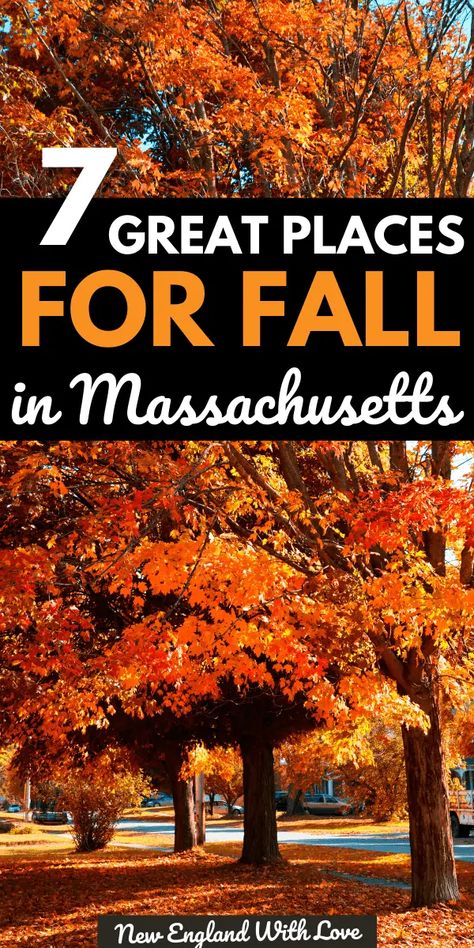 Fall Fun Ideas, Massachusetts Fall, Fall Foliage Trips, Fall Foliage Road Trips, Nantucket Massachusetts, Apple Orchards, Massachusetts Travel, New England Road Trip, Fall Road Trip