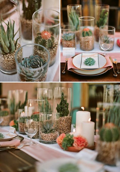 GIVE ME THE SUCCULENTS Cactus Centerpiece, Succulents In Glass, Tanaman Sukulen, Cactus Wedding, Tafel Decor, Cactus Party, Spanish Wedding, Boda Mexicana, Succulent Wedding