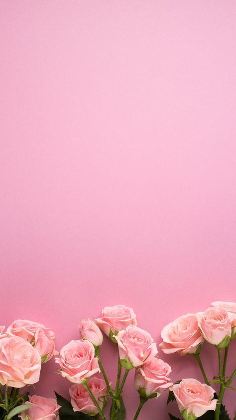 Pretty Pink Wallpapers, Rose Pink Wallpaper, Pink Roses Background, Pink Floral Background, Wallpapers Pink, Ipod Wallpaper, Spring Flowers Background, Pink Flowers Background, Wallpapers For Phone