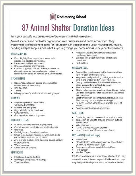 If you're looking for the perfect gifts for your furry friend, then you need to check out our lovely dog supplies! We have everything you need, from toys to treats, and we're sure your furry friend will love everything we have to offer. Things To Donate, Animal Shelter Donations, Animal Rescue Ideas, Donation Ideas, Animal Sanctuary, Creature Comforts, Cat Supplies, Shelter Dogs, Diy Stuffed Animals