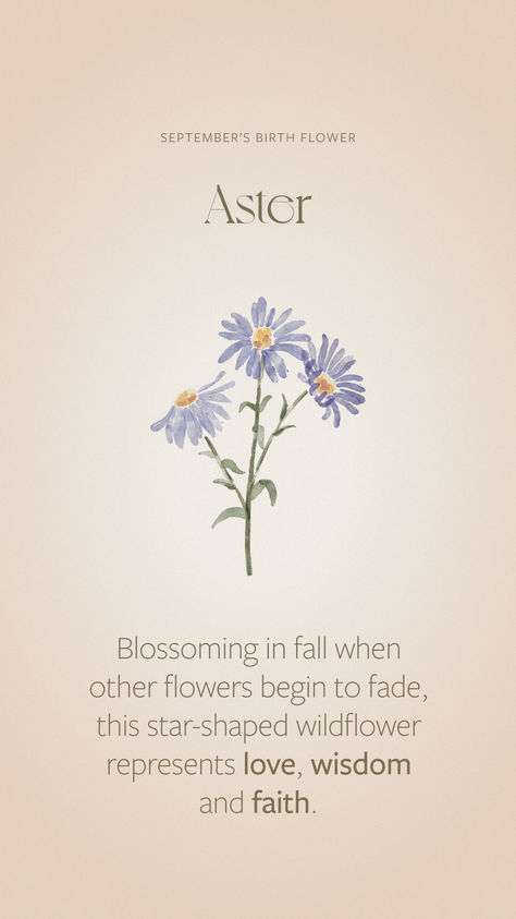 Blossoming in fall when other flowers begin to fade, this wildflower represents love, wisdom and faith. It’s also one of September’s birth flowers! Flower That Represents Love, Flowers That Represent Strength, Flowers Meaning Love, Aster Flower Wallpaper, Aster Flower Meaning, Flower Affirmations, Flowers And Meanings, September Birth Flower Aster, Botanical Sketching