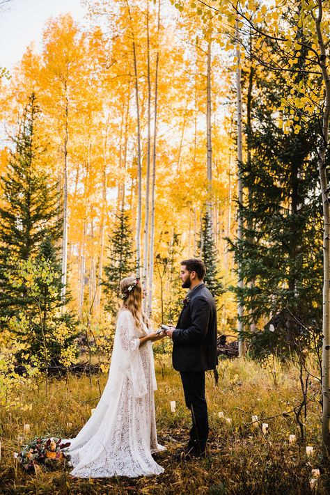 Colorado Elopement | Fall Colors in Breckenridge | Colorado Elopement Photographer | Vow of the Wild Aspen Grove, Fall Elopement, Fall Wedding Photography, Forest Elopement, Colorado Fall, Fall Wedding Photos, Breckenridge Colorado, Wedding Photography Bride, California Elopement