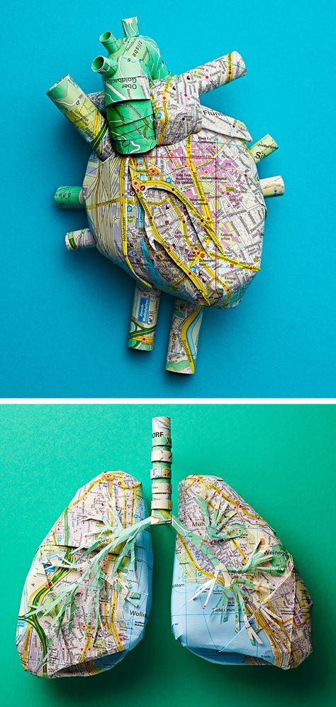 Anatomy Art Projects, Lungs Sculpture, Anatomy Crafts, Anatomy Artists, Art Sculpture Ideas, Lungs Illustration, Form In Art, Spine Art, Eth Zurich