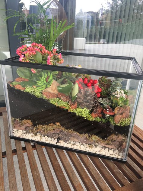 House Plant Terrarium, Repurposed Fish Tank, Best Terrarium Plants, Closed Terrarium, Fish Tank Terrarium, Diy Succulent Terrarium, Aquarium Terrarium, Beautiful Terrariums, Succulent Garden Diy