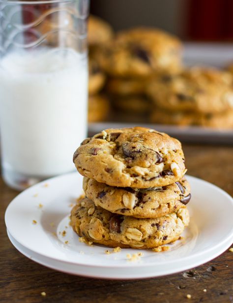 Peanut Butter Oatmeal Chocolate Chip Cookies Peanut Butter Pretzel Cookies, Peanut Butter Oatmeal Chocolate Chip, Peanut Butter Oatmeal Chocolate Chip Cookies, Bakery Chocolate Chip Cookies, Milk Chocolate Chip Cookies, Pretzel Cookies, Pinch Of Yum, Peanut Butter Pretzel, Mince Pie