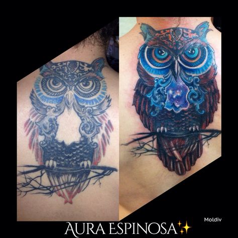 Before and after of this owl tattoo that our resident artist Aura Espinosa fixed! Yes we fix and cover up ugly tattoos. Ugly Tattoos, Tattoo Fixes, Turtle Tattoo Designs, Turtle Tattoo, Tattoo Cover, Tattoo Cover-up, Funny Tattoos, Owl Tattoo, Cover Up Tattoos