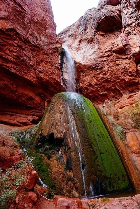 Behold, this 100-foot-tall roaring stream that spills into a mineral-laden pool below. The moss-covered rock beneath the falls creates a stark contrast between red rock and lush greenery guaranteed to captivate anyone all who visit. Arizona Waterfalls, Bright Angel Trail, Indian Garden, Moss Covered, Arizona Travel, Trail Maps, The Grand Canyon, On The Road Again, Lush Greenery