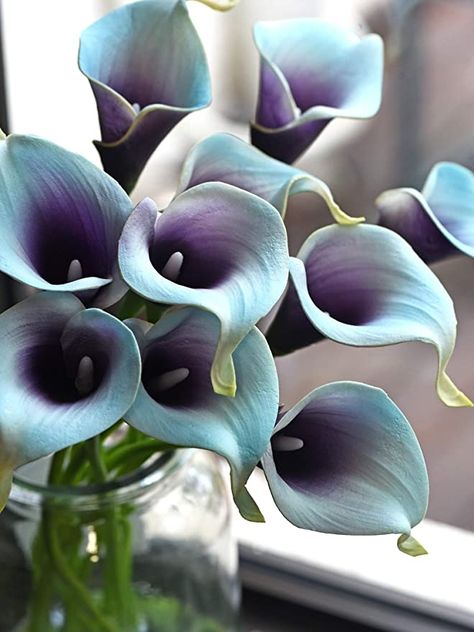 Amazon.com: FiveSeasonStuff Real Touch Calla Lily Artificial Flowers Wedding Bridal Bouquet | Floral Arrangements | 15 Calla Lilies (Artic Blue & Plum Purple) : Home & Kitchen Blue Purple Wedding, Purple Calla Lilies, Fake Flower Arrangements, Easy Flower Drawings, Calla Lily Flowers, Purple Wedding Bouquets, Blue Wedding Bouquet, Lily Bouquet, Artificial Flowers Wedding