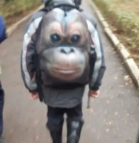 strange monkey backpack Best Memes Funny, Monkey Backpack, Funny Picture Gallery, Trending Photos, Cool Things, Random Pictures, I Want