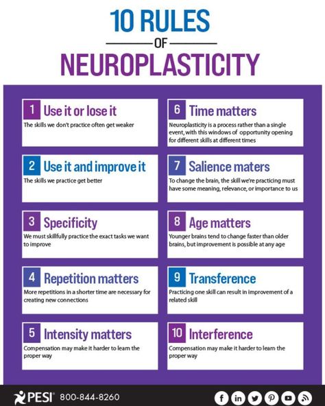 Brain Facts Neuroscience, Neuroplasticity Quotes, Neuro Plasticity, Neuroplasticity Exercises, Brain Facts, Brain Anatomy, Brain Exercise, Brain Science, Free Infographic