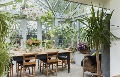 Conservatory Ideas Plants, Edwardian Orangery, Inside Garden Room, Lean To Conservatory Ideas, Garden Room Ideas Interior Design, Biophilia Interior Design, Orangery Dining Room, Victorian Conservatory Interior, Conservatory Ideas Interior