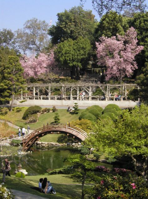 Huntington botanical gardens Japanese Style Garden, Gardens Of The World, Dream Landscape, Asian Garden, Palace Garden, California History, Garden Images, Japanese Gardens, Garden Park