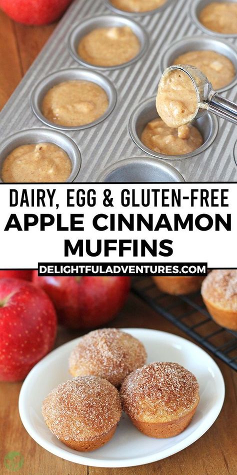 Mini Apple Muffins, Vegan Apple Muffins, Buttermilk Baking, Alpha Gal, Sandwiches Recipes, Dairy Free Recipes Dinner, Muffins Vegan, Keto Baking, Allergen Free Recipes