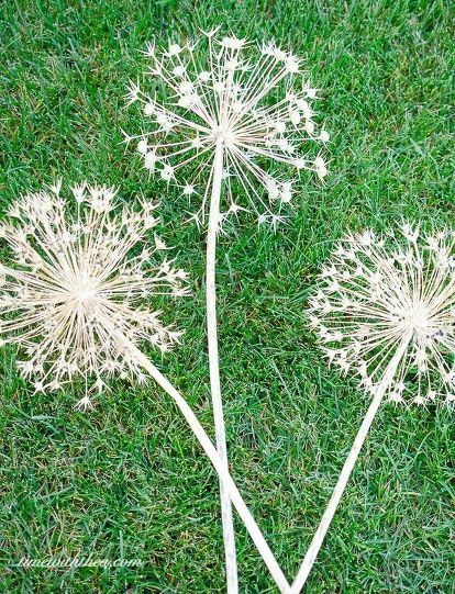 how to create gorgeous metallic painted dried giant allium flowers, crafts, how to Giant Allium, Giant Garden, Easiest Flowers To Grow, Diy Jardin, Taman Diy, Allium Flowers, Sunflower Arrangements, Hydrangea Not Blooming, Hummingbird Feeder