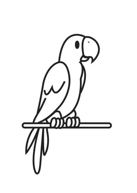 parrot coloring page - Google Search Safari Crafts, Parrot Drawing, Bird Coloring Pages, Small Drawings, Art Drawings For Kids, Animal Coloring Pages, Color Therapy, Line Art Drawings, Coloring Book Pages